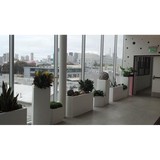 Creative Crate - Web Design & Development in Newport Beach