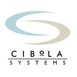 Cibola Systems - Business Consulting in Orange