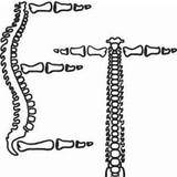 ET Chiropractic - Chiropractors in Newport Beach