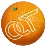 Orange Coast Title CO - Insurance in Santa Ana
