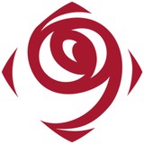 Peak Development Consulting LLC - Business Consulting in Roseville