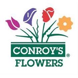 Conroy's Flowers - Florists in Costa Mesa