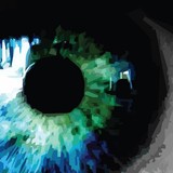 Belajic Daniel OD - Optometrists in Auburn