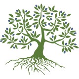 Olive Tree Initiative - Colleges & Universities in Irvine