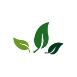 El Paseo Wellness - Dentists in Palm Desert