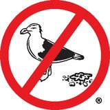 Bird B Gone - Manufacturer in Lake Forest