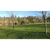 Vista Meadow Protection - Other in Meadow Vista