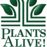 Plants Alive - Other in Granite Bay