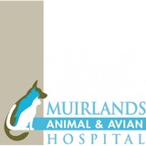 Kanbe Miwa DVM - Veterinarians/Vets in Mission Viejo