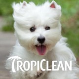 Tropiclean - Carpet Cleaning in Lake Forest