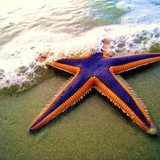 Athena Day Spa - Massage Therapy in Laguna Beach
