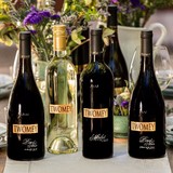 Twomey Cellars - Wineries in Calistoga
