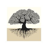 Progeny Winery - Wineries in Napa