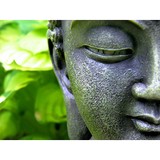 Dantian Studio - Yoga in Costa Mesa