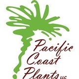 Pacific Coast Plants - Interior Design in Tustin