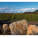 Brand Napa Valley LLC - Beer, Wine & Spirits in Saint Helena