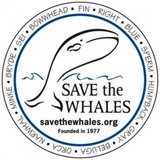 Save the Whales-Wow - Other in Seaside