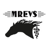 Advanced Equine Dental - Dentists in Riverside
