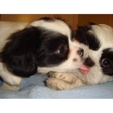 Guardian Angel Homes - Carers & Home Health Care in Santa Ana