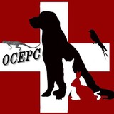 Orange County Emergency Pet - Animal Hospitals in Fullerton