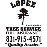 Lopez Tree Service - Other in Seaside