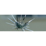 Top Class Auto Glass - Auto Glass & Windshield Services in Yorba Linda