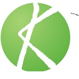 Kaya Tax & Bookkeeping Services, Inc - Bookkeepers in Irvine