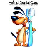 Animal Dental - Veterinarians/Vets in Newport Beach