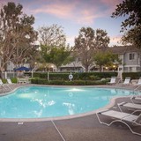 South Pointe Apartments - Apartments in Costa Mesa