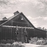 Mc Kenzie Mueller Winery - Wineries in Napa