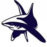 Shark Pools - Other in Indio