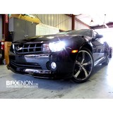 Bfxenon Com - Other in Placentia