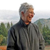 Lagier Meredith Vineyard - Beer, Wine & Spirits in Napa