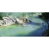 Water Garden Dental - Landscaping in Costa Mesa