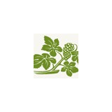 Vine Balance Consulting - Business Consulting in Napa