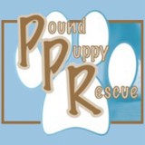 Pound Puppy Rescue Inc - Other in Nevada City
