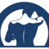 Sein Chiropractic Corp - Chiropractors in Anaheim