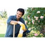 Rosebush Gardening Service - Landscaping in Cathedral City