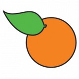 Orange Optical - Manufacturer in Orange