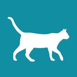 Cat Hospital - Veterinarians/Vets in Tustin