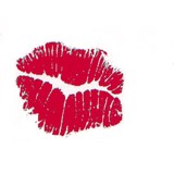 Nova Wines - Wineries in Saint Helena