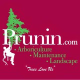Prunin Arboriculture - Landscape Architects in Cypress