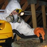 Signature Rodent Solutions - Pest Control in Irvine