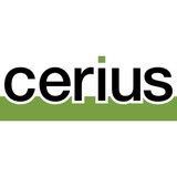 Cerius Consulting Group Inc - Business Consulting in Aliso Viejo