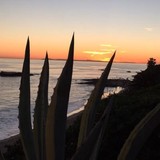 Kairis Planning Network - Other in Laguna Beach