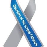 Nodcc - Other in Yorba Linda