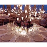 Flamingo's Event Planner - Other in Banning