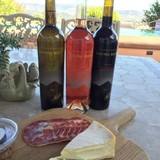 Young Ridge Winery - Business Consulting in Napa