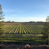 Wine & Dine Events Group - Other in Saint Helena