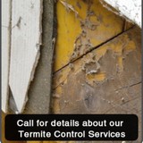 Hart's Extermination - Pest Control in Dana Point